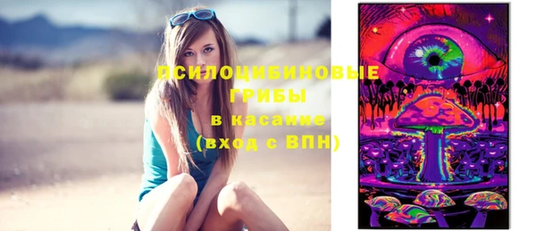 стафф Киренск