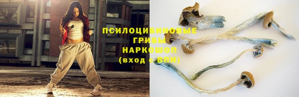 стафф Киренск