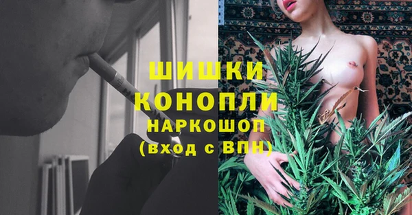 jwh Карпинск