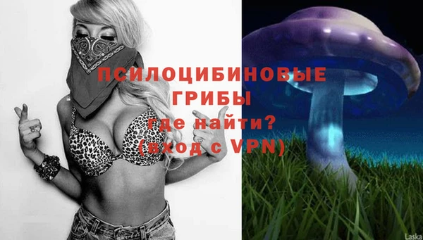 метадон Касимов