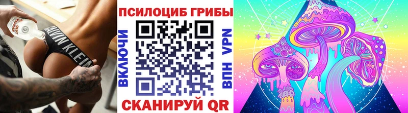 Купить  Дмитровск  Галлюциногенные грибы GOLDEN TEACHER 
